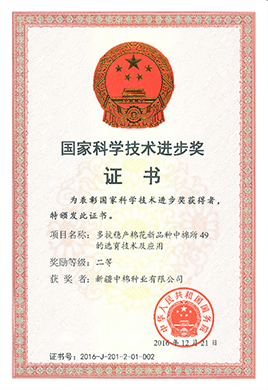 國(guó)家科技進(jìn)步二等獎(jiǎng)